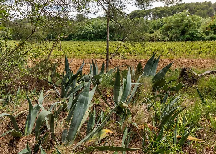 Flat In A Beautiful Building With Pool Mèze