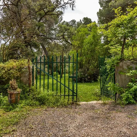 Flat In A Beautiful Building With Pool *