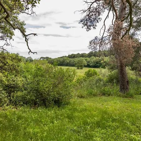 Apartment Flat In A Beautiful Building With Pool